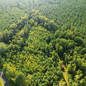 Photo #3 of SOLD property in Off Figure 9 Rd, Council, NC 6.5 acres