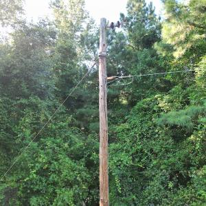 Photo #22 of SOLD property in Off Figure 9 Rd, Council, NC 6.5 acres