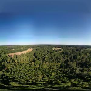 Photo #23 of SOLD property in Off Figure 9 Rd, Council, NC 6.5 acres