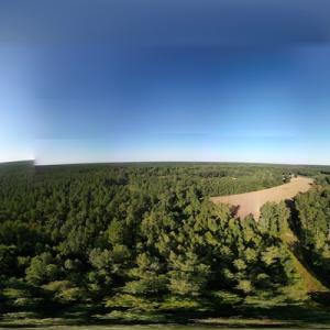 Photo #24 of SOLD property in Off Figure 9 Rd, Council, NC 6.5 acres