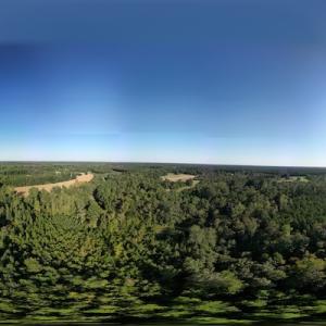 Photo #25 of SOLD property in Off Figure 9 Rd, Council, NC 6.5 acres
