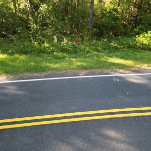 Photo #27 of SOLD property in Off Figure 9 Rd, Council, NC 6.5 acres
