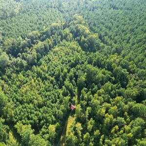 Photo #4 of Off Figure 9 Rd, Council, NC 6.5 acres