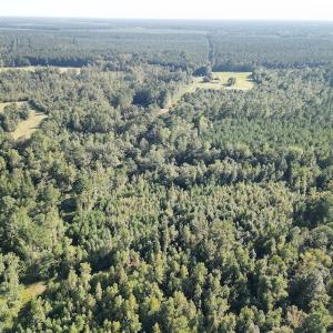 Photo #5 of SOLD property in Off Figure 9 Rd, Council, NC 6.5 acres