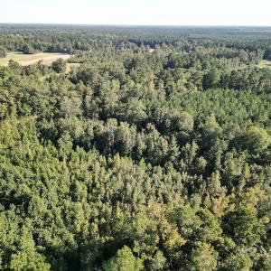 Photo #6 of SOLD property in Off Figure 9 Rd, Council, NC 6.5 acres