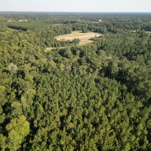 Photo #7 of SOLD property in Off Figure 9 Rd, Council, NC 6.5 acres