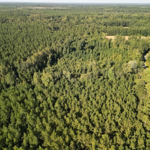 Photo #8 of SOLD property in Off Figure 9 Rd, Council, NC 6.5 acres