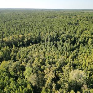 Photo #10 of SOLD property in Off Figure 9 Rd, Council, NC 6.5 acres