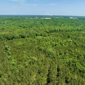 Photo #9 of SOLD property in Off Henschel Lane, Broadway, NC 12.0 acres
