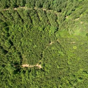 Photo #11 of Off Henschel Lane, Broadway, NC 12.0 acres