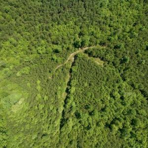 Photo #12 of SOLD property in Off Henschel Lane, Broadway, NC 12.0 acres