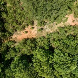 Photo #14 of SOLD property in Off Henschel Lane, Broadway, NC 12.0 acres
