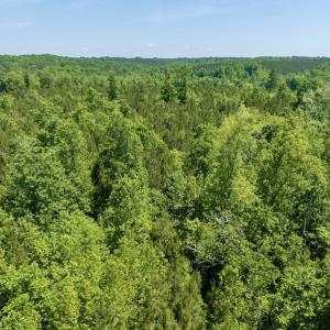 Photo #15 of SOLD property in Off Henschel Lane, Broadway, NC 12.0 acres