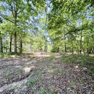 Photo #17 of SOLD property in Off Henschel Lane, Broadway, NC 12.0 acres