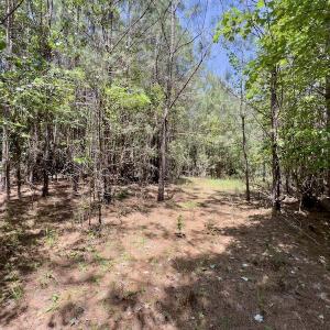 Photo #19 of SOLD property in Off Henschel Lane, Broadway, NC 12.0 acres