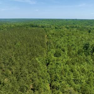 Photo #2 of SOLD property in Off Henschel Lane, Broadway, NC 12.0 acres