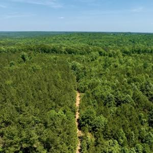 Photo #3 of SOLD property in Off Henschel Lane, Broadway, NC 12.0 acres