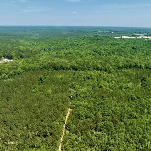 Photo #4 of SOLD property in Off Henschel Lane, Broadway, NC 12.0 acres