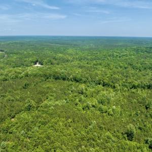 Photo #5 of SOLD property in Off Henschel Lane, Broadway, NC 12.0 acres