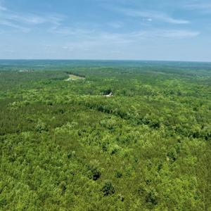 Photo #6 of SOLD property in Off Henschel Lane, Broadway, NC 12.0 acres