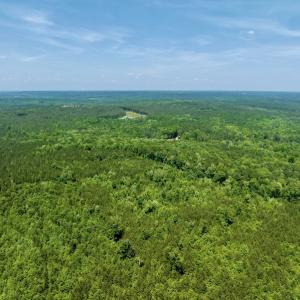 Photo #7 of SOLD property in Off Henschel Lane, Broadway, NC 12.0 acres