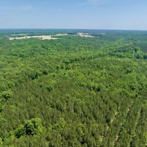 Photo #8 of SOLD property in Off Henschel Lane, Broadway, NC 12.0 acres