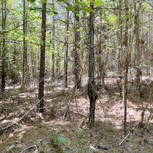 Photo #22 of Off Henschel Lane, Broadway, NC 12.0 acres