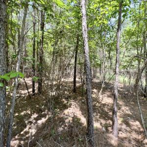 Photo #23 of SOLD property in Off Henschel Lane, Broadway, NC 12.0 acres