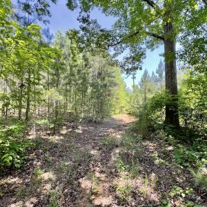 Photo #25 of SOLD property in Off Henschel Lane, Broadway, NC 12.0 acres