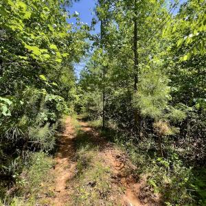 Photo #26 of SOLD property in Off Henschel Lane, Broadway, NC 12.0 acres