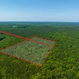 Photo #27 of SOLD property in Off Henschel Lane, Broadway, NC 12.0 acres
