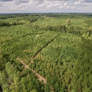 Photo #9 of SOLD property in Off Ronald Tharrington Road, Louisburg, NC 15.8 acres