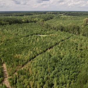 Photo #10 of SOLD property in Off Ronald Tharrington Road, Louisburg, NC 15.8 acres