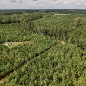 Photo #11 of SOLD property in Off Ronald Tharrington Road, Louisburg, NC 15.8 acres