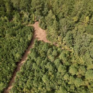Photo #12 of SOLD property in Off Ronald Tharrington Road, Louisburg, NC 15.8 acres