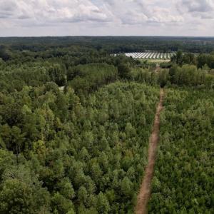 Photo #13 of SOLD property in Off Ronald Tharrington Road, Louisburg, NC 15.8 acres
