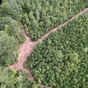 Photo #14 of SOLD property in Off Ronald Tharrington Road, Louisburg, NC 15.8 acres