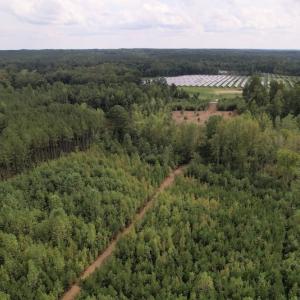 Photo #16 of SOLD property in Off Ronald Tharrington Road, Louisburg, NC 15.8 acres