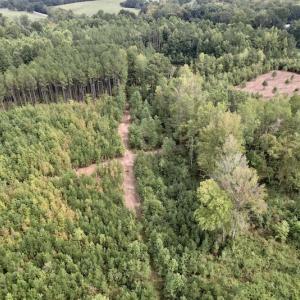 Photo #17 of SOLD property in Off Ronald Tharrington Road, Louisburg, NC 15.8 acres