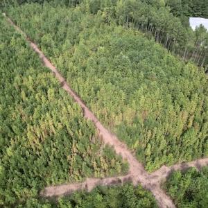 Photo #19 of SOLD property in Off Ronald Tharrington Road, Louisburg, NC 15.8 acres