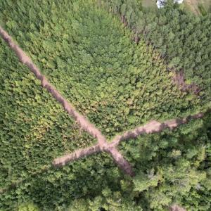 Photo #22 of SOLD property in Off Ronald Tharrington Road, Louisburg, NC 15.8 acres