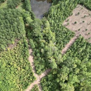 Photo #23 of SOLD property in Off Ronald Tharrington Road, Louisburg, NC 15.8 acres