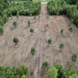 Photo #24 of SOLD property in Off Ronald Tharrington Road, Louisburg, NC 15.8 acres