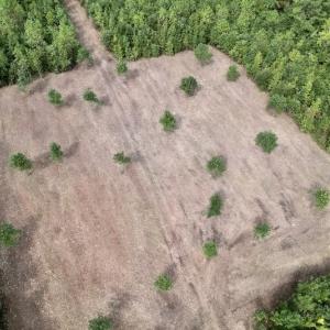 Photo #25 of SOLD property in Off Ronald Tharrington Road, Louisburg, NC 15.8 acres