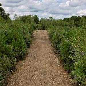 Photo #2 of SOLD property in Off Ronald Tharrington Road, Louisburg, NC 15.8 acres