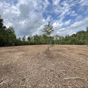 Photo #29 of SOLD property in Off Ronald Tharrington Road, Louisburg, NC 15.8 acres