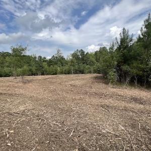 Photo #30 of SOLD property in Off Ronald Tharrington Road, Louisburg, NC 15.8 acres