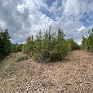 Photo #36 of SOLD property in Off Ronald Tharrington Road, Louisburg, NC 15.8 acres