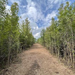 Photo #37 of SOLD property in Off Ronald Tharrington Road, Louisburg, NC 15.8 acres