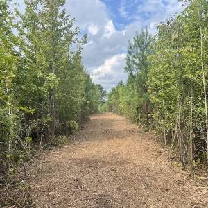 Photo #38 of SOLD property in Off Ronald Tharrington Road, Louisburg, NC 15.8 acres